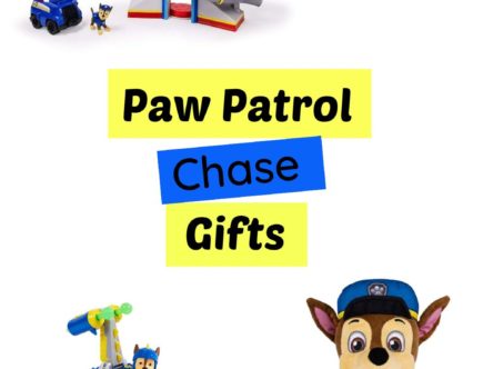 Paw Patrol Chase